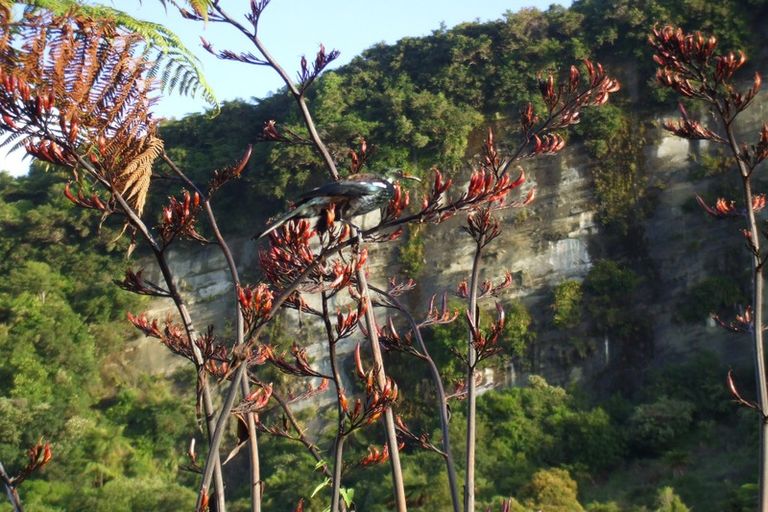 Photo of property in 61 Glasseye Drive, Little Wanganui, Karamea, 7893