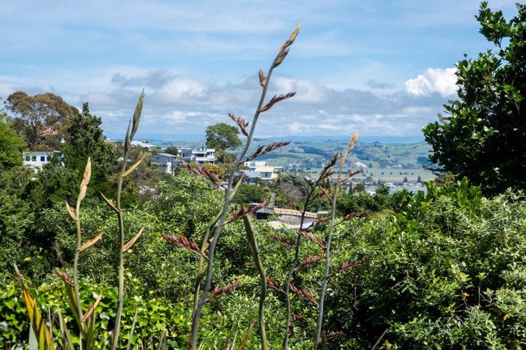 Photo of property in 44 Lighthouse Road, Bluff Hill, Napier, 4110