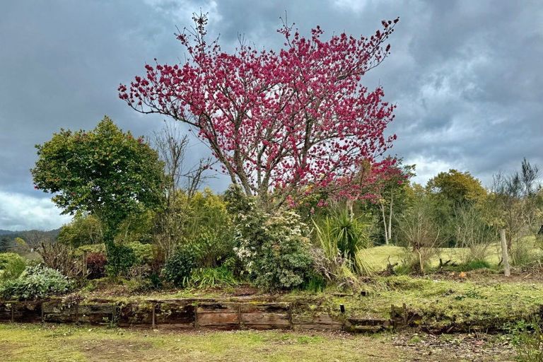 Photo of property in 86 Lairdvale Road, Taumarunui, 3920