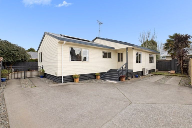 Photo of property in 44a Bellevue Road, Brookfield, Tauranga, 3110