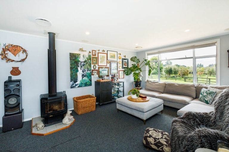 Photo of property in 49 Harrisons Line, Ashhurst, 4470