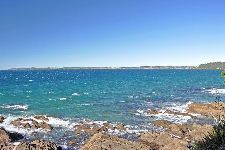 Photo of property in 11 Penguin Street, Leigh, 0985