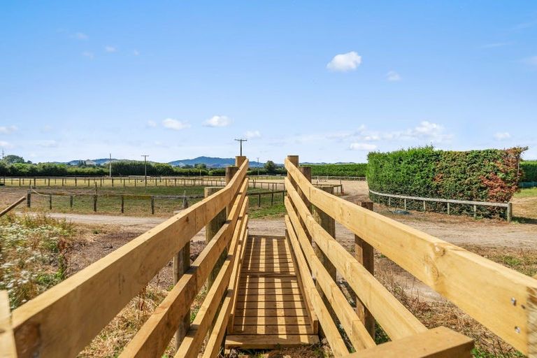 Photo of property in 303 Parallel Road, Ohaupo, Cambridge, 3495