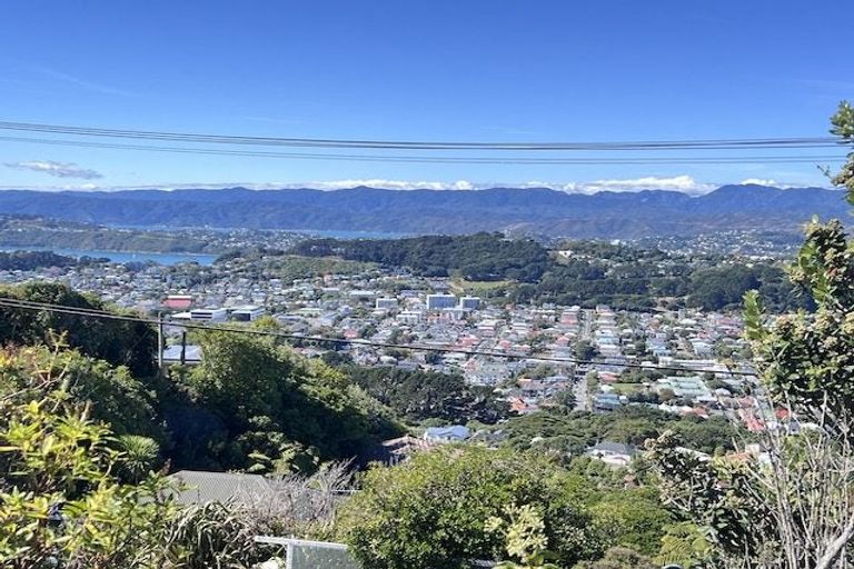 Photo of property in 168 The Ridgeway, Mornington, Wellington, 6021