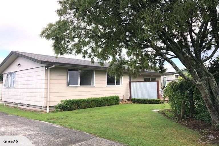 Photo of property in 25 Sheffield Street, Matamata, 3400