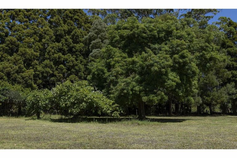Photo of property in 41 Te Ra Road, Kaeo, Kerikeri, 0295