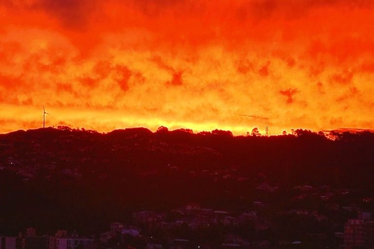 Photo of property in Soho Apartments, 1322/74 Taranaki Street, Te Aro, Wellington, 6011