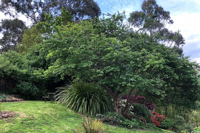 Photo of property in 44 Manchester Street, Bradford, Dunedin, 9011