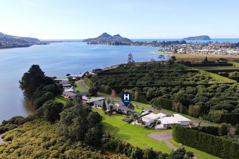 Photo of property in 65 Tangiteroria Lane, Pauanui, Hikuai, 3579