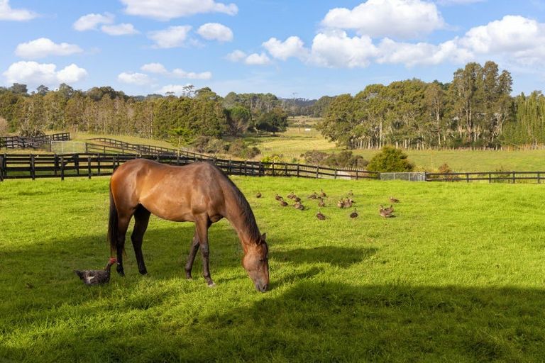 Photo of property in 145 Hanham Road, Kumeu, 0891