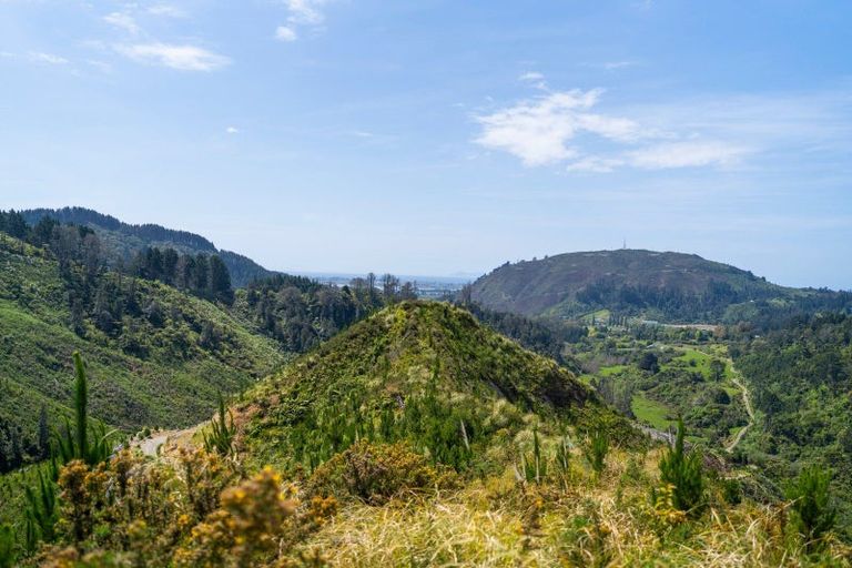 Photo of property in 316b Waitao Road, Waitao, Tauranga, 3175