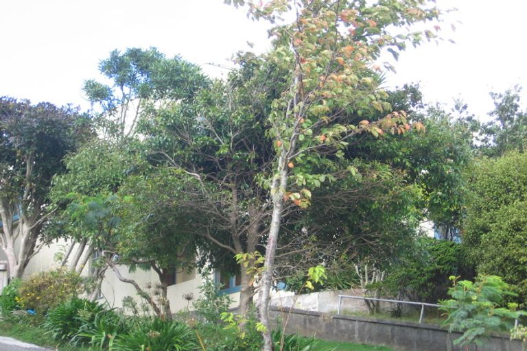 Photo of property in 105 Fraser Avenue, Johnsonville, Wellington, 6037