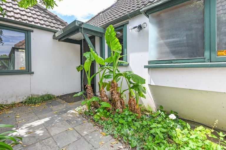 Photo of property in 4/720 Ballantyne Street, Frimley, Hastings, 4120