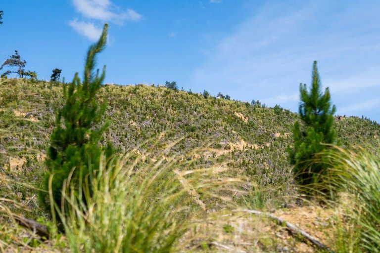 Photo of property in 316b Waitao Road, Waitao, Tauranga, 3175