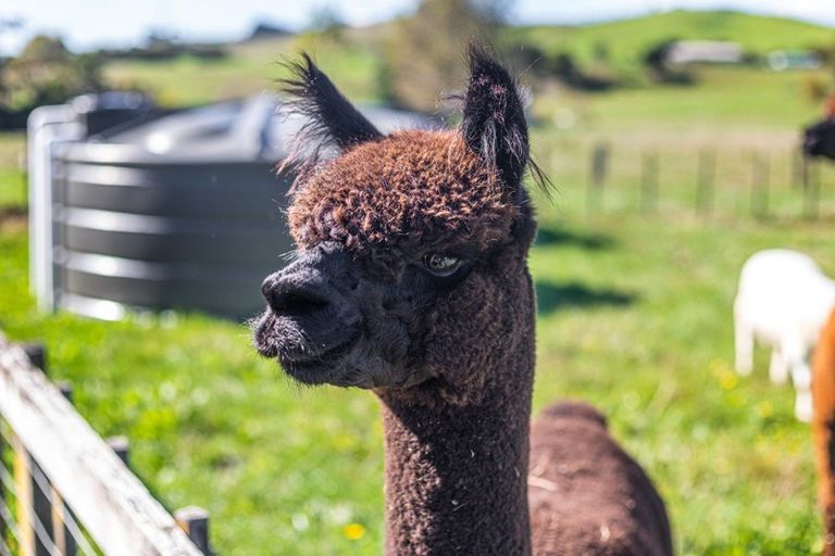 Photo of property in 12 Jeffs Road, Mangatawhiri, Pokeno, 2471