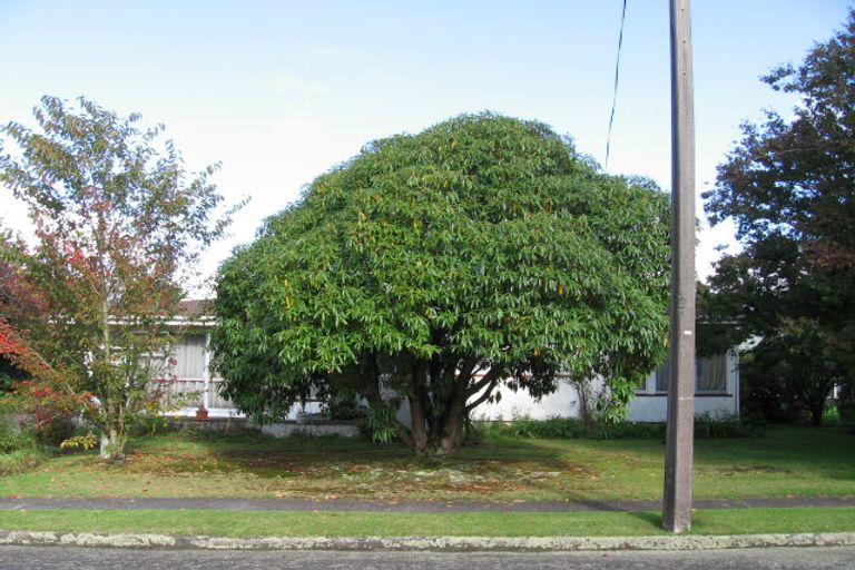 Photo of property in 11 Benella Street, Tokoroa, 3420