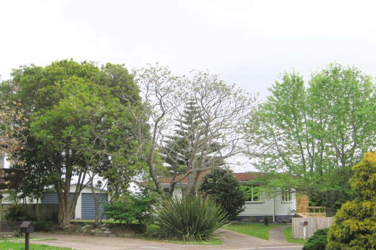 Photo of property in 8 Walmsley Crescent, Paeroa, 3600