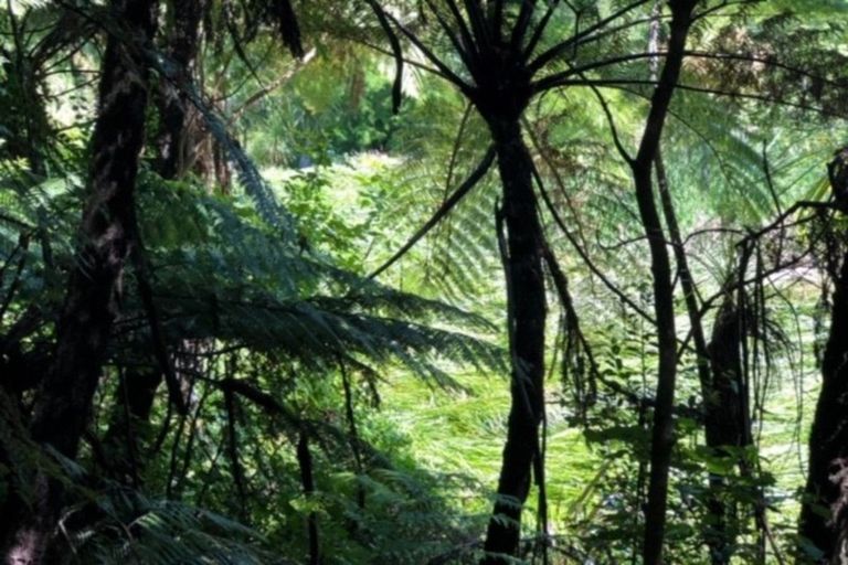 Photo of property in 1b Motuhora Rise, Whakatane, 3120