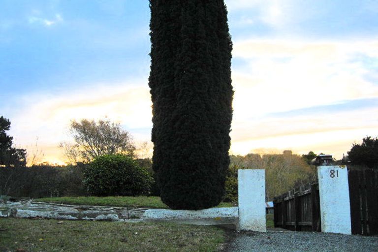 Photo of property in 81 Ronaldsay Street, Palmerston, 9430