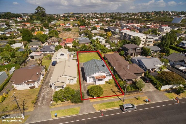 Photo of property in 36 Harlston Road, Mount Albert, Auckland, 1025