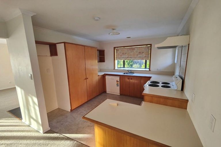 Photo of property in 12 Regent Place, Witherlea, Blenheim, 7201