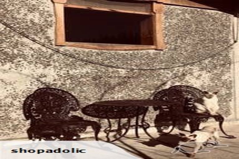 Photo of property in 229 Little Sydney Road, Brooklyn, Motueka, 7198