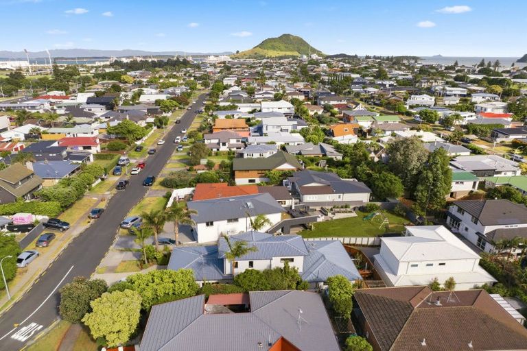 Photo of property in 75 Campbell Road, Mount Maunganui, 3116