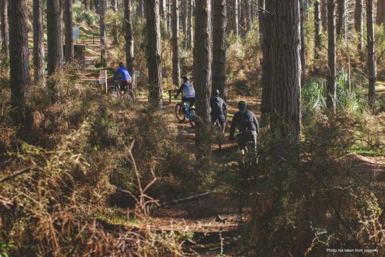 Photo of property in 114 Solan Drive, Waimauku, 0812