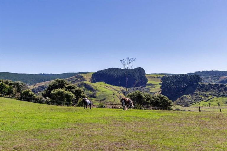 Photo of property in 135b Hutchinson Road, Helensville, 0875