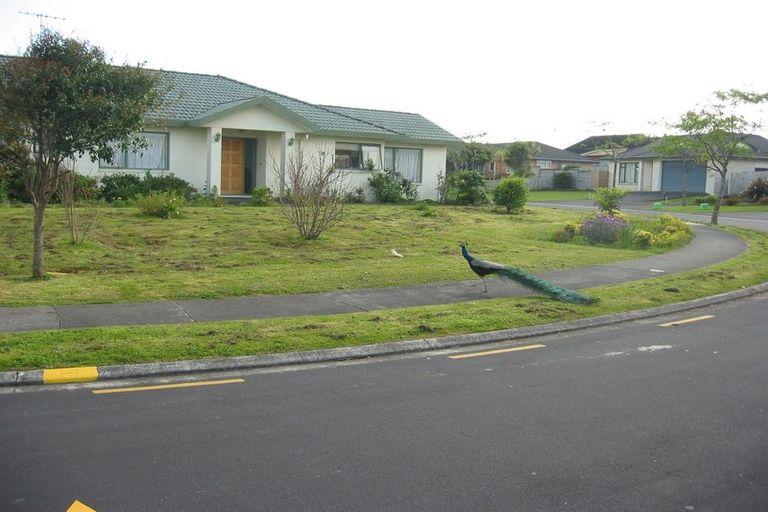 Photo of property in 5 Fintona Place, Dannemora, Auckland, 2016