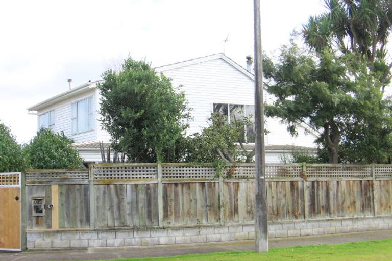 Photo of property in 118 Fitzroy Street, Terrace End, Palmerston North, 4410