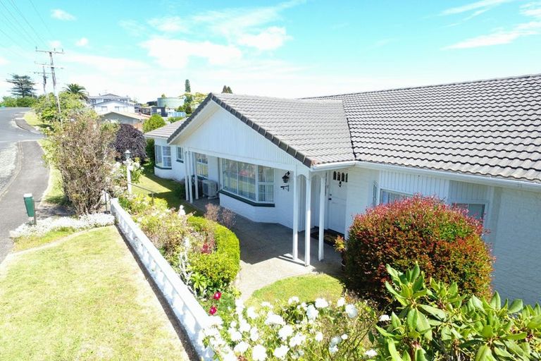 Photo of property in 75 Mountain View Road, Otorohanga, 3900
