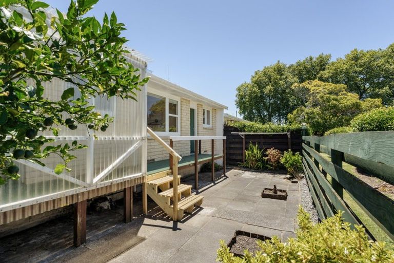 Photo of property in 44 Seventeenth Avenue, Tauranga South, Tauranga, 3112