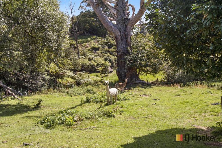 Photo of property in 73 Savage Road, Waihi, 3610