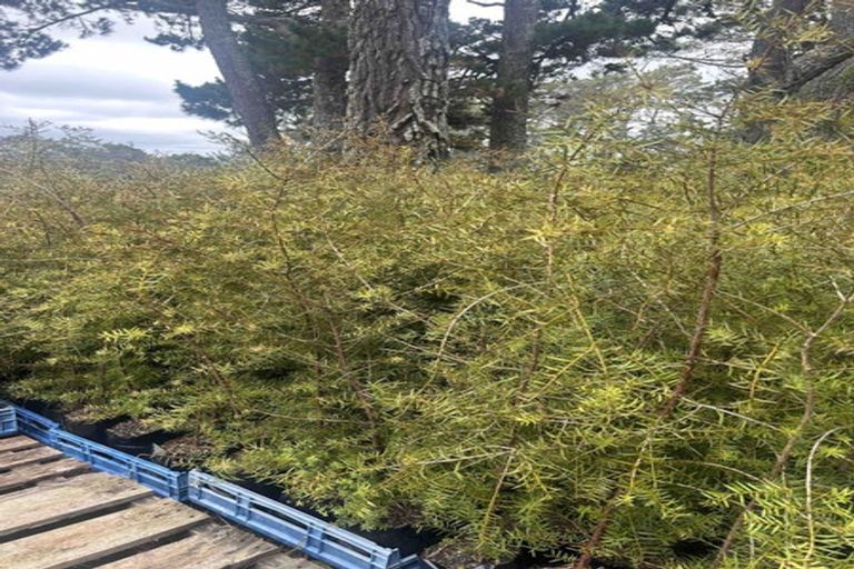 Photo of property in 200 Tawa Road, Kumeu, 0891