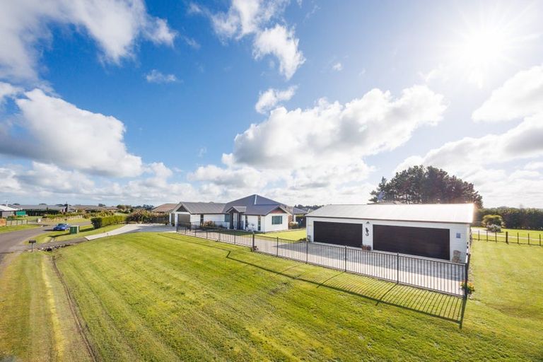 Photo of property in 28 Wapiti Avenue, Feilding, 4775
