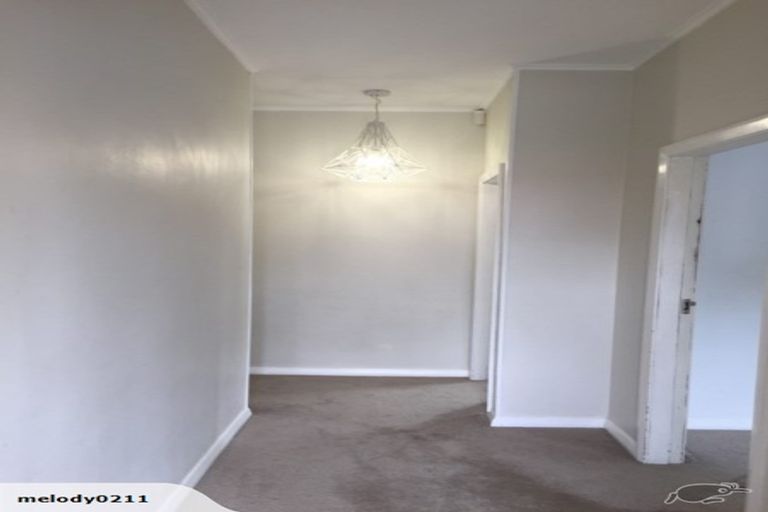 Photo of property in 17 Massey Avenue, Greenlane, Auckland, 1061