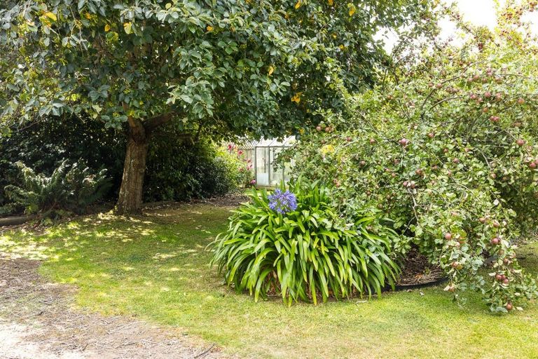 Photo of property in 9a North Foreland Street, Waihola, Milton, 9073