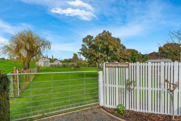 Photo of property in 97 Hangawera Road, Morrinsville, 3375