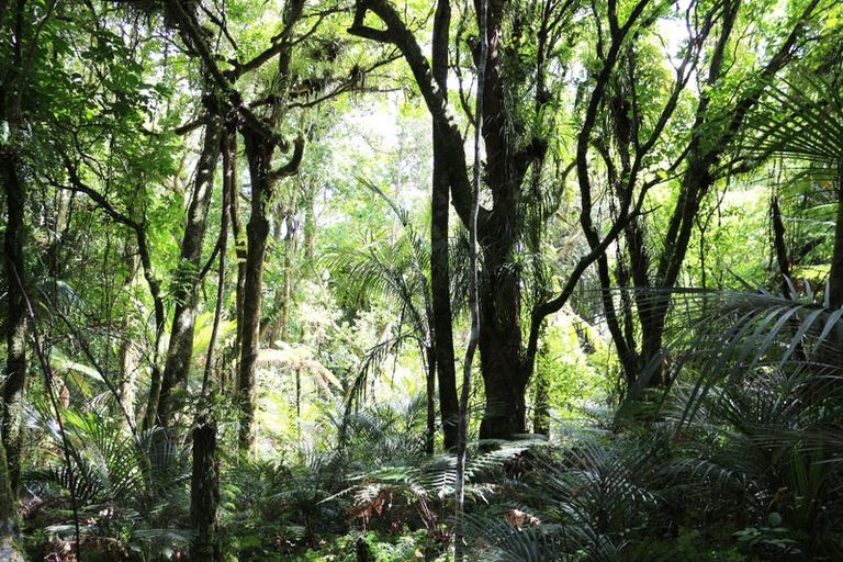 Photo of property in 1052 Wekaweka Road, Waimamaku, Kaikohe, 0473