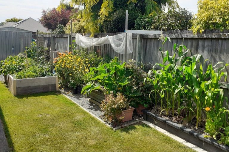 Photo of property in 48 Panckhurst Drive, Woodend, 7610