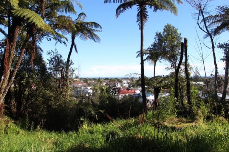 Photo of property in 6 Freyberg Terrace, Greymouth, 7805