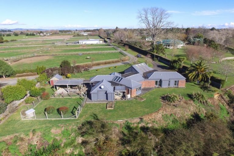 Photo of property in 54 Taawharuwharu Lane, Cambridge, 3495