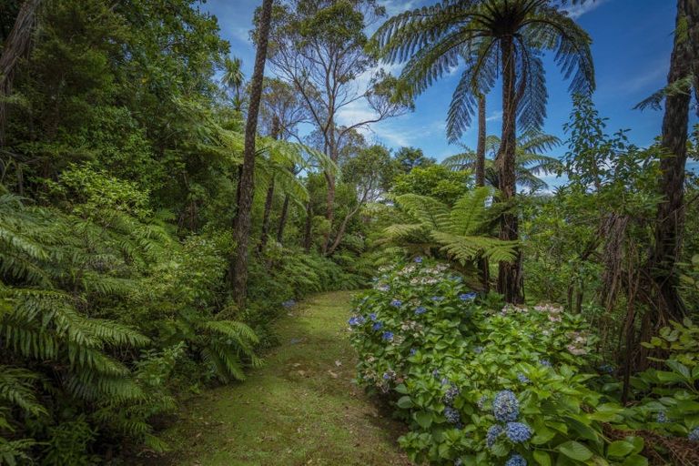 Photo of property in 127 Pumpkin Hill Road, Pumpkin Hill, Whitianga, 3591