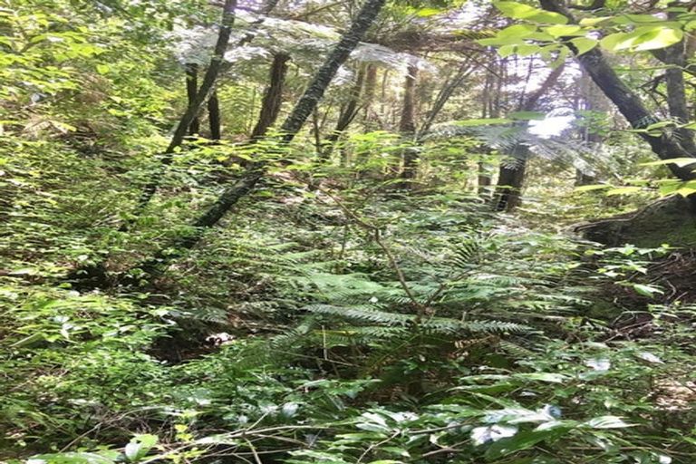 Photo of property in Massey Road, Waipu, 0582