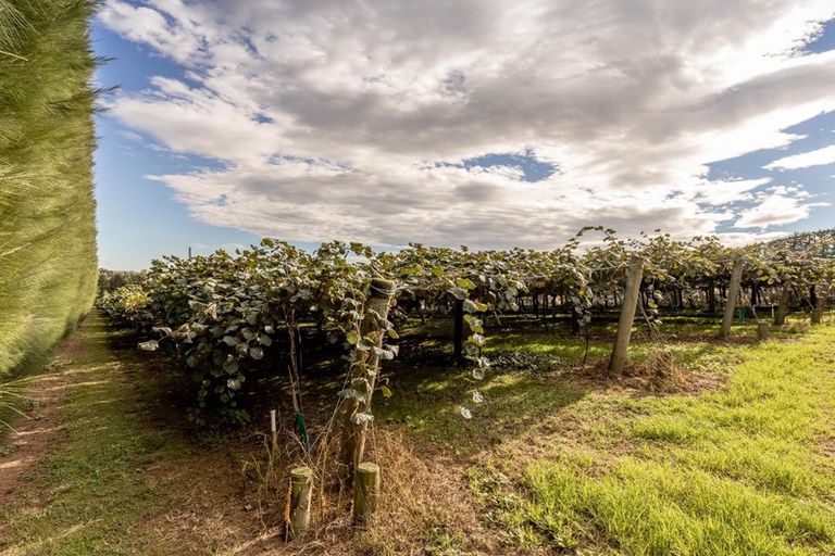 Photo of property in 39 Prole Road, Omokoroa, Tauranga, 3172