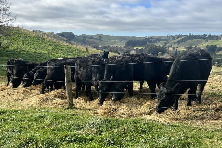 Photo of property in 12 Hepina Heights, Kinloch, Taupo, 3377