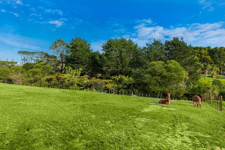 Photo of property in 98 Wake Road, Coatesville, Albany, 0793