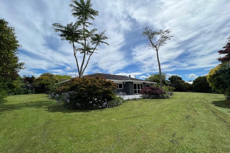 Photo of property in 383 Old Highway, Whakamarama, Tauranga, 3180