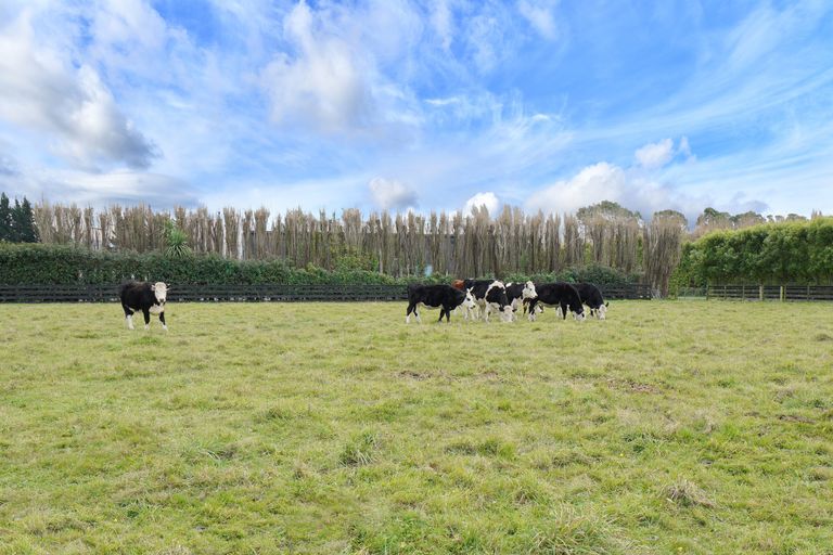 Photo of property in 617 Johns Road, Harewood, Christchurch, 8051